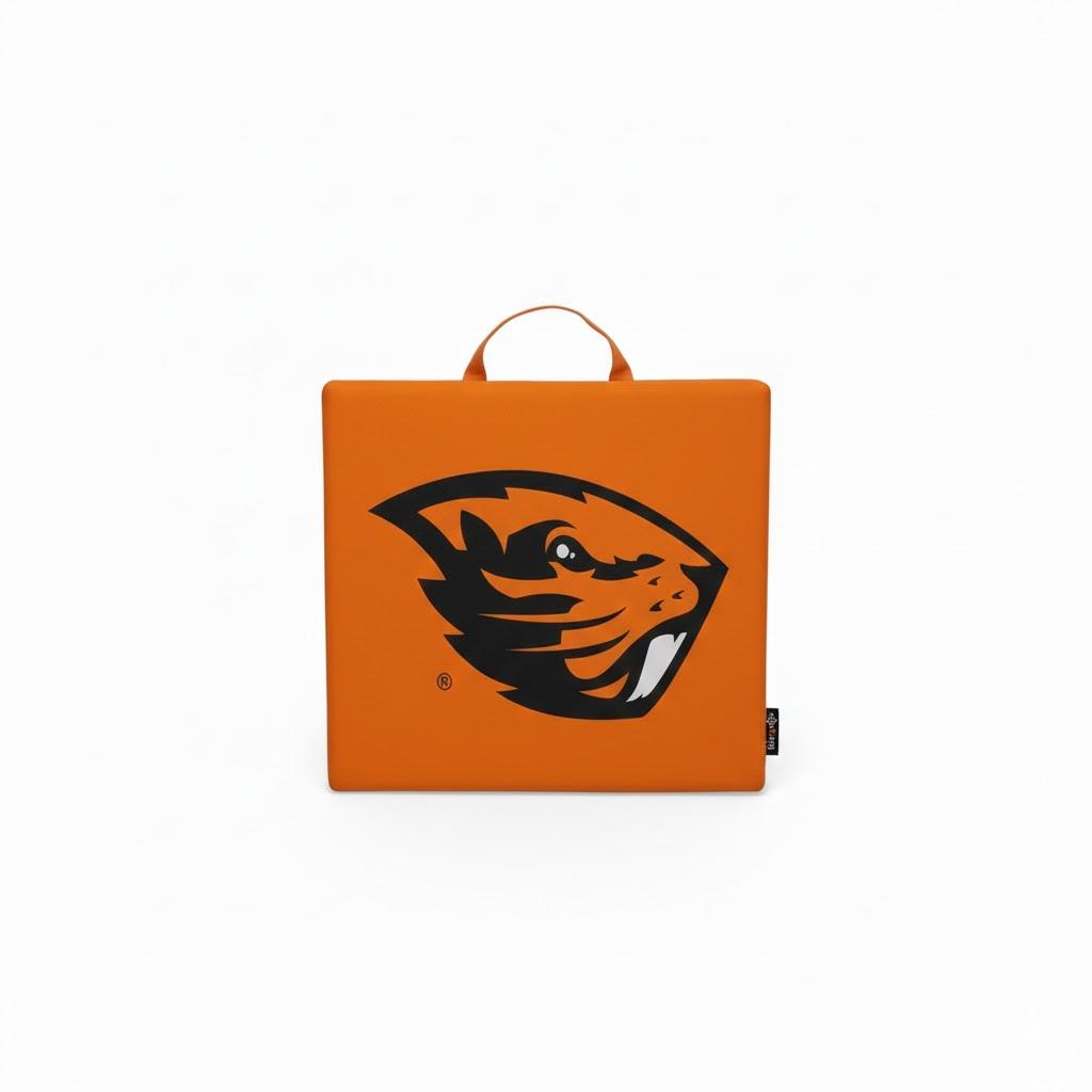 Logo Brands Officially Licensed NCAA Unisex Bleacher Cushion, One Size, Team Color (14" x 14" x 1")