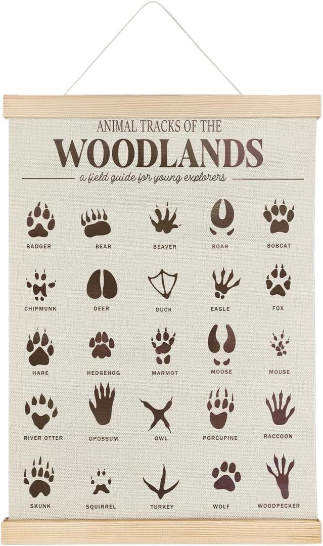 SereneHanctuary Forest Animal Tracks Nursery Decor,Forest Animal Kids Room Wall Art,Animal Tracks Playroom Poster Hanger Frame for Bedroom Nursery Kids Toddler Room Decor,12X16Inches