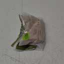 Chieprebra Tummy Control Underwear Soft High Waisted underwear Full Coverage Briefs Breathable Postpartum Cotton Womens Panties, M