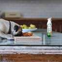 Febreze Air Mist Air Freshener Spray, Odor-Fighting Room Spray, Air Fresheners for Home and Bathroom and Kitchen, Aerosol Can, HD Pet Odor Fighter Scent, 8.8oz, 3 Count