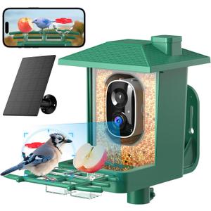 Bird Feeder with Camera Outdoor Solar: Smart Birdfeeder with AI Recognition - 2K HD Live Stream Video Camera for Outside Wild Birds Garden Decor - Bird Lover Gifts, Green