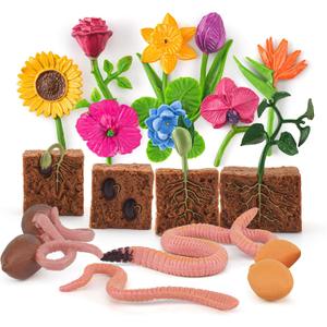 16PCS Plant Growth Cycle Set for Toddlers Kids Preschool Educational Gift Sets Earthworm Fresh Flowers Pea Growth Cycle Table Decorations Party Decorations