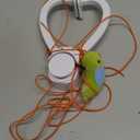 Interactive Cat Toys for Indoor Cats: Automatic Flying Bird Feather Wand Chase Exercise Enrichment Stimulation, USB Rechargeable Durable Safe Hanging Toy for Bored Kittens Adult Multi Cat Households (White)