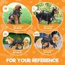 BENCMATE Dog Harness, Dog Lift Harness, Multipurpose Designed Harness with Reflective Strips, Dog Rehabilitation Lifts Vest for Old, Disabled, Joint Injuries, Arthritis, Paralysis Dogs(XXLarge)