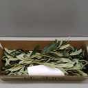 10 PCS 18 Inch Faux Olive Branches for Vases - Realistic Faux Olive Tree Stems with Lifelike Leaves & Fruits, Eucalyptus Stems,Faux Greenery Stems for Centerpieces,Home Decor&Wedding Decor