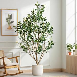 5FT Artificial Olive Tree with Realistic Leaves & Natural Trunk, Faux Silk Olive Plant in White Planter, Tall Fake Tree for Modern Home Office Living Room Entryway Corner Decor, Maintenance Free
