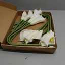 10 Pcs Artificial Calla Lily White Flowers, 26" Long Stem Artificial Flowers for Tall Vases, Wedding Centerpieces & Bridal Bouquets, Realistic White Calla Lilies for Home & Office Decor