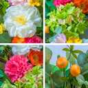 Pinkpuii 24 Inch Spring Wreaths for Front Door- Outdoor Spring Summer Flower Wreath with Vibrant Peony Hydrangea Flower, Green Eucalyptus Leaves and Orange Berry- Ideal for Porch,Mantel,Home Wall