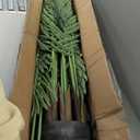 Artificial Palm Tree 6ft Tall Fake Palm Tree Indoor Decor with 18 Trunks and Real Bark Design Faux Tropical Areca Palm Silk Floor Plant in Pot for Home Office Living Room Bedroom Decor 2pcs
