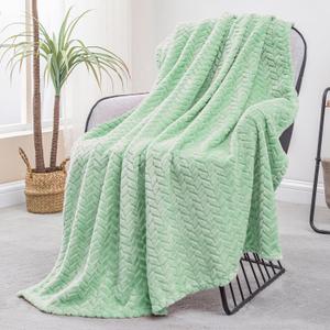 Exclusivo Mezcla Light Green Fleece Throw Blanket for Couch and Bed, 50x70 Inches Soft Cozy Jacquard Flannel Blankets, Lightweight Fuzzy Plush Warm Throws for All Seasons (Mint)
