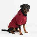Spark Paws Dog Hoodie  Premium Dog Sweater for Small, Medium, and Large Dogs | Warm Outfits for French Bulldogs, Pitbull, Puppy, Winter Jacket Alternative - Burgundy - 4XL