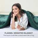 Aemicion Plush Sherpa Weighted Blanket Queen Size 15lbs - Soft Cozy Fleece Heavy Weighted Blanket, Breathable and Washable -Gift for Women Men-Green