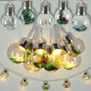 Christmas Tree Snow Globe String Lights 6.56 FT 10 LED Xmas Light Balls with 5 Christmas Figurines Constant Vintage Decor Lighting for Indoor Outdoor Xmas Party Decoration(Green)