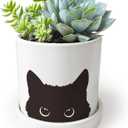 4.3'' Black Cat Ceramic Succulent Pot, Cute Cat Plant Pot with Drainage Hole & Ceramic Tray, Funny Home Office Cactus Planter