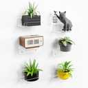 Upsimples 6 Pack 6x4 Inches Acrylic Small Shelves, Floating Shelves for Wall, Display Shelf Organizer for Plants, Speaker, Radio, Toys, Clear