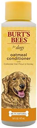 Burt's Bees for Pets Oatmeal Dog Conditioner with Colloidal Oat Flour and Honey, 95% Natural Origin Formulas, Gentle Canine Conditioning Formula for Itchy Dogs, 2 Pack, 10 oz