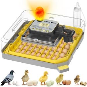 IBKINXX Incubator for Hatching Eggs-48 Egg Capacity, Auto Egg Turner & New Auto Precision Humidity Control System, 360° Clear Viewing for Chicken, Duck and Quail Eggs