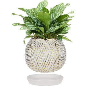 Ceramic Plant Pots for Plants Indoor 6.1 Inch Round Gold and White Flower Pot Gilded Decorative Planter with Drainage Hole and Saucer Modern Ceramic Pot for Succulents Orchids Cactus Herbs Home Decor, Medium