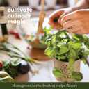 Planters' Choice 9 Herb Indoor Window Garden Kit - Mother's Day Gifts - House Plants Seeds - Best Unique Gift Ideas for Women, Mom, Friend, Her, Birthday, Housewarming, Mother - Live Plant Starter