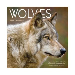 2026 Wolves Wall Calendar