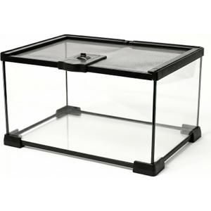 12x8x6 Inch Glass Reptile Terrarium, Escape Proof for Geckos