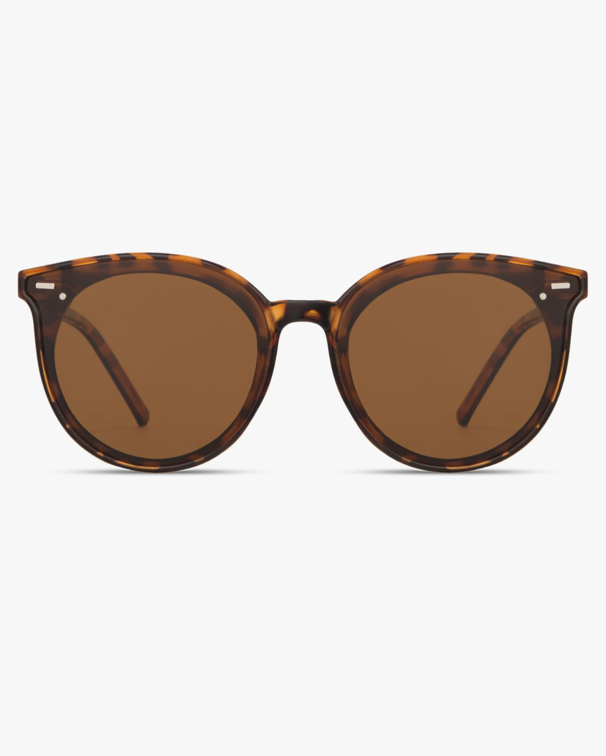 Livho Polarized Sunglasses, Retro & Oversized Shades for Women with Round Lenses