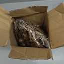 RoseCraft 10PCS Christmas Tree Decorations, Artificial Glitter Berry Stems Branches, for Christmas Tree Ornaments Picks Twigs Xmas Vase Filler Home Wedding Holiday Winter Decor. (Champagne)