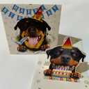 3D Pop-Up Rottweiler Dog Birthday Card - Rottweiler Dog with Cake Celebration, Whimsical Happy Birthday Greeting for Dog Lovers - Rottweiler Dog 3D Birthday Pop Up Cards