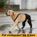 COODEO Dog Paw Protector with Hind Leg Sleeve, Waterproof Anti-Licking Dog Sock with Non-Slip Bottom, Rear Leg Recovery Cover for Wounds, Hot Spots, Skin Irritation & Outdoor Use (Black, L)