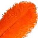 THARAHT Orange Ostrich Feathers 12pcs Large Natural Bulk 16-18Inch 40cm-45cm for Wedding Party Centerpieces Halloween and Home Decoration Feathers