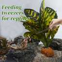 Reptile Feeding Tongs, Stainless Steel Lizard Feeding Tongs, Aquarium Curved Feeding Tweezers for Reptiles with Rubber Tip, Terrarium Feeding Tongs 14.96" L, Black Silver Tone