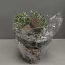 Small Table Top Christmas Tree with Lights, Mini Christmas Tree Decorations with Merry Christmas Pine Cones Berries Balls Ornaments for Home Party Office Centerpiece Indoor Decorations 12Inch, Silver