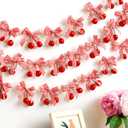 24 Pcs Cherry Party Decorations Cherry Pink Bow Garland Decor Shes The Cherries on Top Party DIY Fruit Hanging Ornaments for Wedding Baby Shower Bachelorette(Red Plaid)