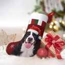 Christmas Bernese Mountain Dog Christmas Stockings Personalized Hanging Stocking Decorations for Family Xmas Holiday Party (One Size)