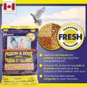 2 x Hagen Pigeon & Dove Seed - Original Formula Bird Food, 6 lb Bag Nutritionally Complete Seed Mix with Vitamins & Minerals Wild & Captive Bird Diet Insect-Resistant Air-Tight Packaging (EXP 04/23/26)
