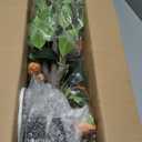 3.2FT Artificial Camellia Tree, Faux Camellia Plant Fake Potted Camellia Flower Tree, Orange Faux Potted Plant, Indoor Outdoor Decor for Home, Office, Porch, Patio, Pack of 2