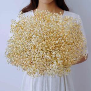 Dried-Babys-Breath-Bouquet-17.2 inch Dried Flowers, Natural Gypsophila Branches for Home Decor, Wedding, Table Decor, DIY Wreath Floral, Dry Flowers Bulk for Vase (Off White)