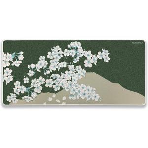 X-Raypad Aqua Control 2 Gaming Mouse Pad, Ultra-High Precision Mouse Pad with Perfect Speed and Control Capability, Consistent X and Y Glide, Designed for Fps Players with Low DPI Requirements (900*400*4mm, Green)