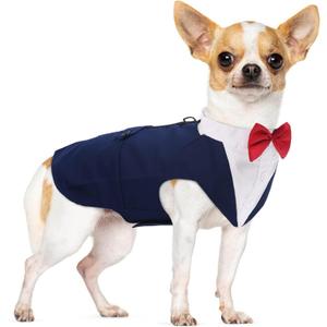 PUMYPOREITY Small Dog Bowtie Tuxedo Suit, Cat Tuxedo & Bandana Set for Chihuahua, Boston Terrier, Bichon, Corgi, Pomeranian, 2 Pieces/Pack, S, Blue