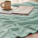 Bedsure GentleSoft Sage Green Fleece Blankets Queen Size - 280GSM Soft Lightweight Plush Cozy Blanket for Bed, Sofa, Couch, Travel, Camping