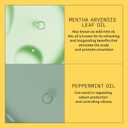 Nioxin System 1 Scalp + Hair Thickening Conditioner for Natural Hair with Light Thinning | Strengthen Against Breakage with Niacinamide & Biotin | Refreshed Scalp with Healthy Shine (33.8 ounce (Pack of 1))