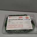 fun shack Mens Chocolate Factory Worker Wig Adults Bright Green Costume Accessory (One Size)