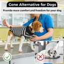 LeleTail Dog Recovery Suit Female Spay, Soft Dog Surgery Suit for Male Neuter, Anti-Lick Wounds Cone Alternatives, Pet Onesie Bodysuit for Pet Abdominal Wound After Surgery Protect, Black 2XL