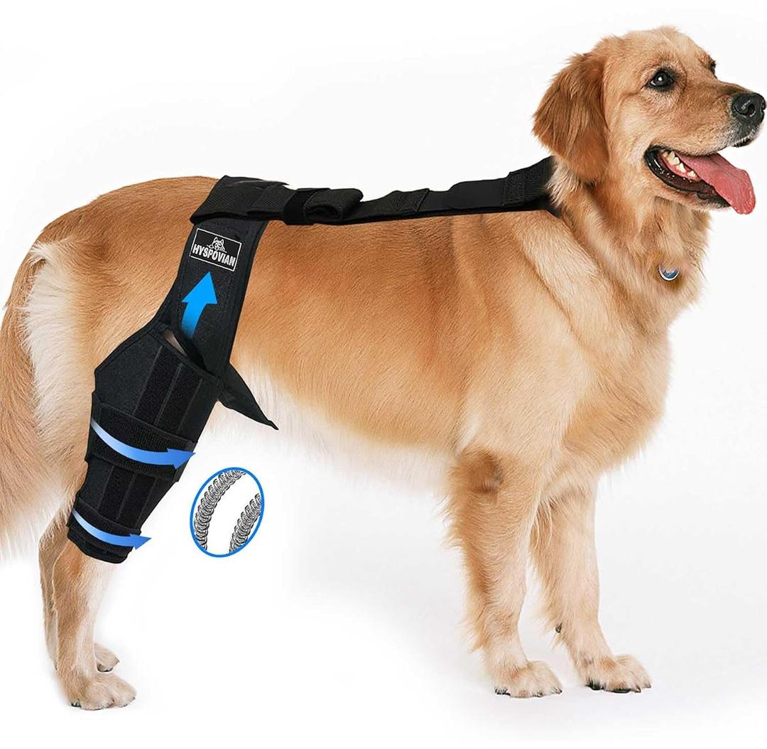 Hyspovian Adjustable Dog Leg Brace Universal for Limbs with Extra Straps, Dog Knee Brace for Torn ACL Hind Leg, CCL Sprain, Tear Ligament, Tendons Small Tear or Strained, Protects Wounds(Size: M)