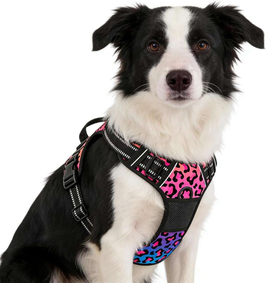 Rnivvi No Pull Dog Harness, Cute Leopard Reflective Medium Sized Puppy Kitten Harness, Adjustable Soft Padded Vest for Medium Dogs, Heavy Duty Pet Vest with Easy Control Handle for Walking