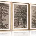 HOURIA Vintage Tree Sketch Framed Canvas Wall Art Set, Natural Brown and Gray Woodland Wall Decor, Mid Century Nature Forest Artwork, Textured Botanical Art Print for Living Room, Bedroom, Office-16"x24"x3