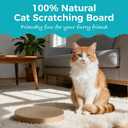 2Pcs Round Cat Scratcher Refill, 10 Inch Diameter Cardboard Cat Scratching Board Circle Replacement Pads for Indoor Cat Toy