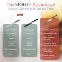 MOELLE Professional 9 Inch Serrated Knife  Kitchen Knife for Chefs/Cooks - Crafted with Damascus Steel Danish Design Ergonomic Teak Wood Handle