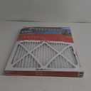 Reduction Filter Electrostatic, Micro Allergen pleated 2/Pack