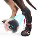 Drop Foot Brace with Reel(No Knuckling Boot Brace) for Dog - Corrective Dog Shoes to Safely Lift Toes for Foot Issues, Arthritis, and improving Walking gait in Dogs,Patent Pending(M)